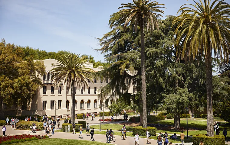SCU image 4
